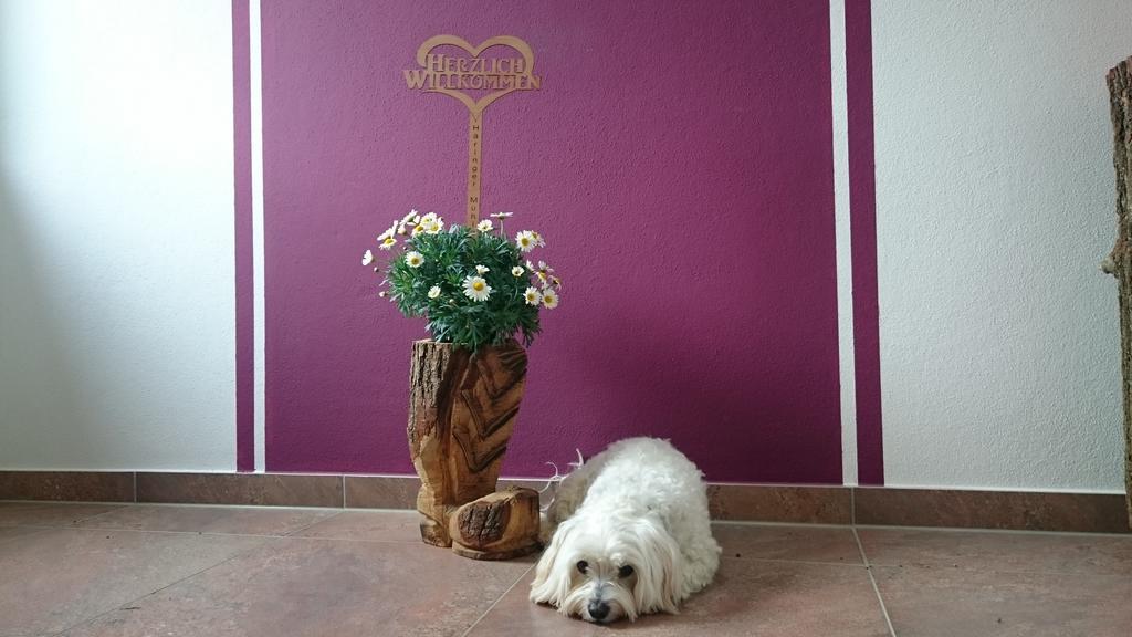 Haeringer Muehle Apartment Bad Haering Luaran gambar
